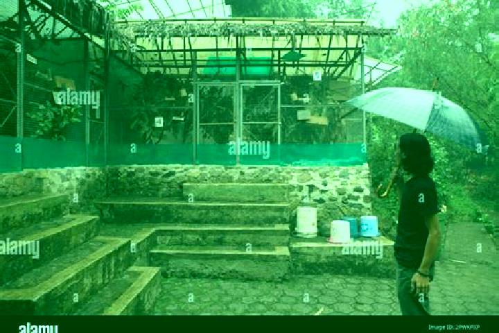Grace, 31 — Escort in Ciapus, Indonesia
