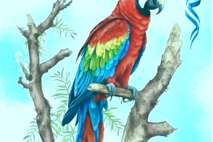 Grace, 31 — Escort in Guacamaya, Honduras