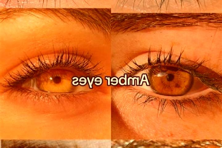 Grace, 32, a chestnut amber-eyed ebony companion based in Sevilimedu. Offering Striptease, A-Level, BDSM. Available for incall and outcall, overnight booking...