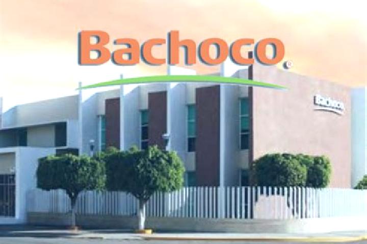 Grace, 32 — Escort in Bachoco, Mexico