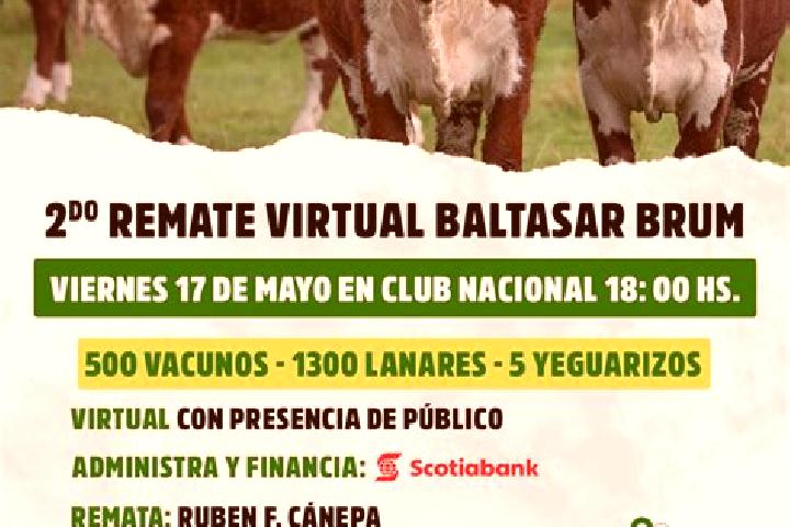 Grace, 32 — Escort in Baltasar Brum, Uruguay