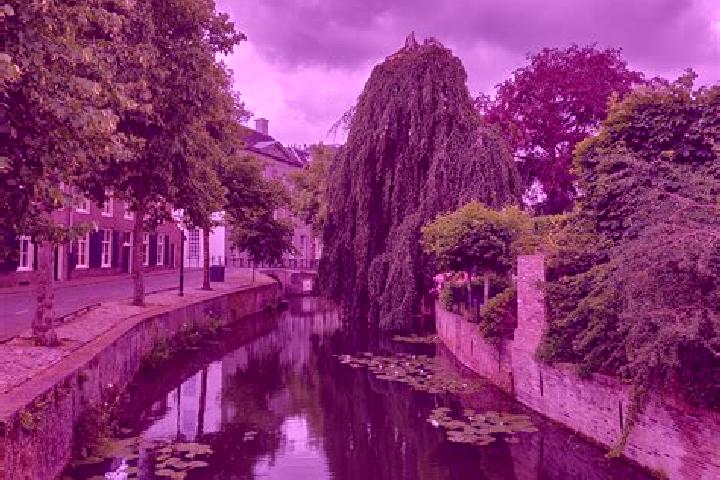 Grace, 32 — Escort in Groot IJsselmonde, Netherlands