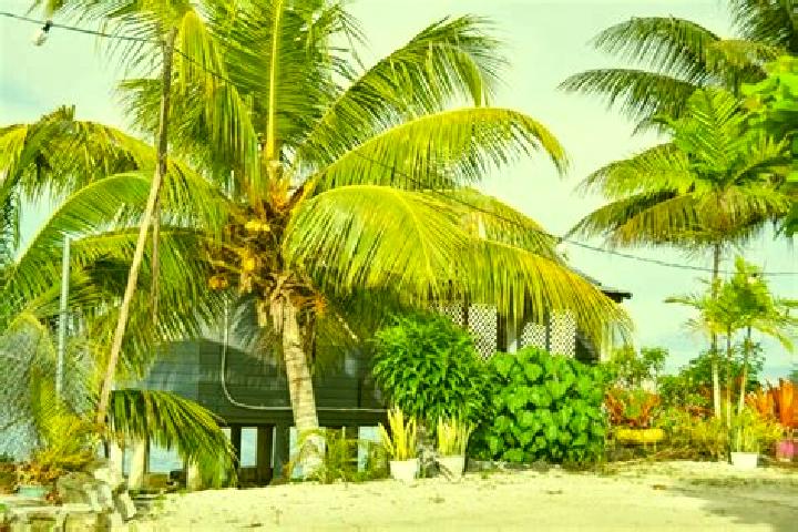 Grace, 34 — Escort in Matautu, Samoa