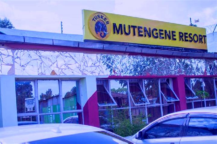 Grace, 34 — Escort in Mutengene, Cameroon