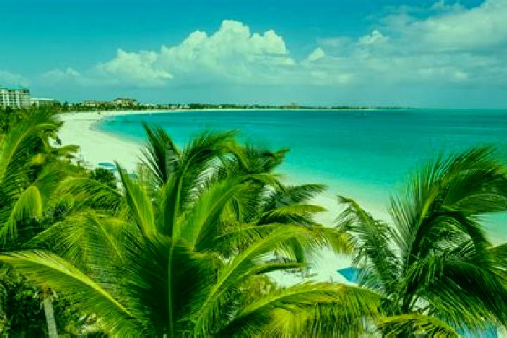 Grace, 35 — Escort in Kew, Turks and Caicos Islands