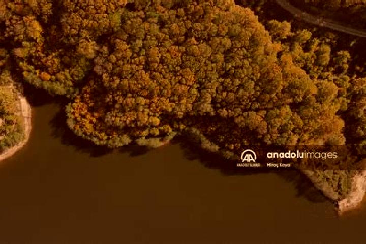 Grace, 35 — Escort in Susurluk, Turkey