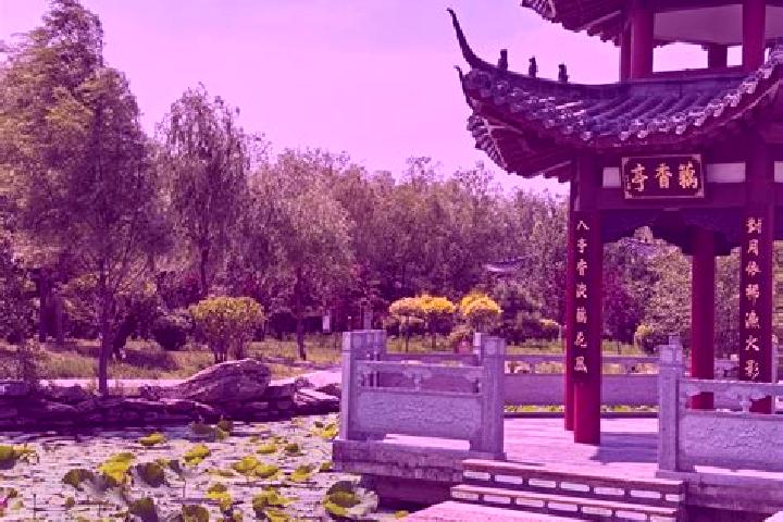 Grace, 36 — Escort in Nenjiang, China