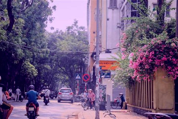 Grace, 37 — Escort in Cau Giat, Vietnam