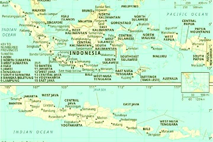 Grace, 37 — Escort in Luluf, Indonesia