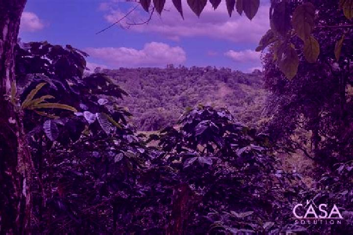Grace, 37 — Escort in Monte Lirio, Panama