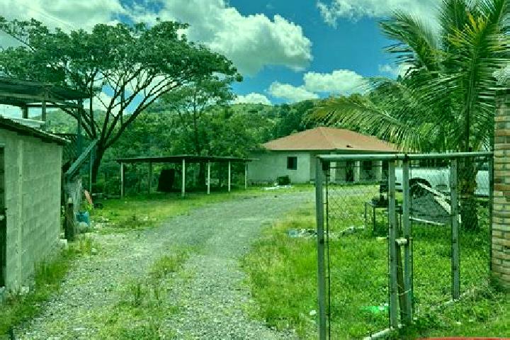 Grace, 37 — Escort in Oropendolas, Honduras