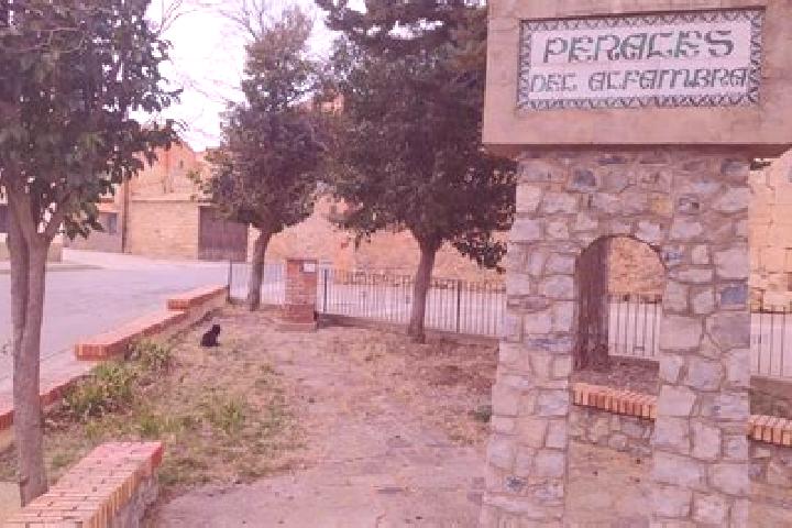 Grace, 37 — Escort in Perales del Alfambra, Spain