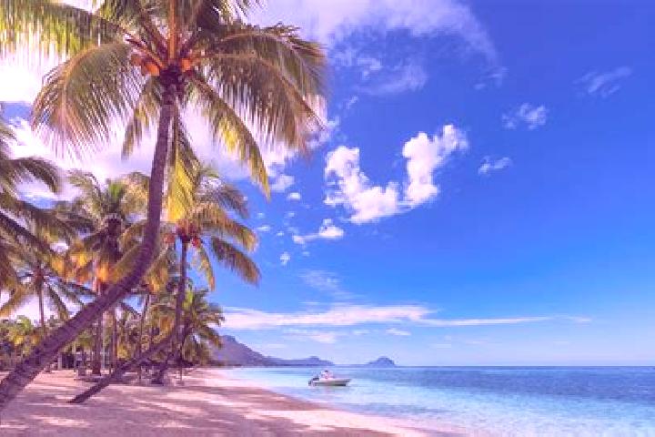 Grace, 37 — Escort in Petit Bel Air, Mauritius