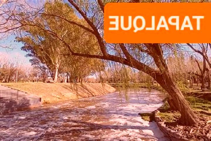 Grace, 37 — Escort in Tapalque, Argentina