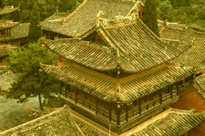 Grace, 37 — Escort in Wenshui, China