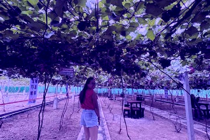 Grace, 38 — Escort in Laguitas, Philippines