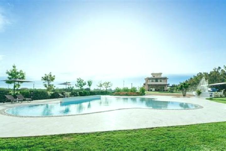 Grace, 38 — Escort in Licinella-Torre di Paestum, Italy