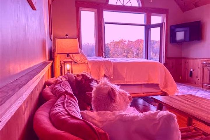 Grace, 38 — Escort in Powhatan Point, United States