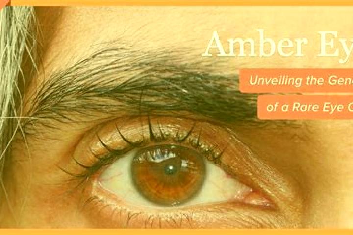 Grace, 39, a black amber-eyed mixed companion based in Vardanjan. Offering CIM, A-Level, Domination. Available for incall and outcall, day and evening dates.