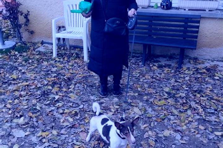 Grace, 39 — Escort in Beaurepaire-en-Bresse, France