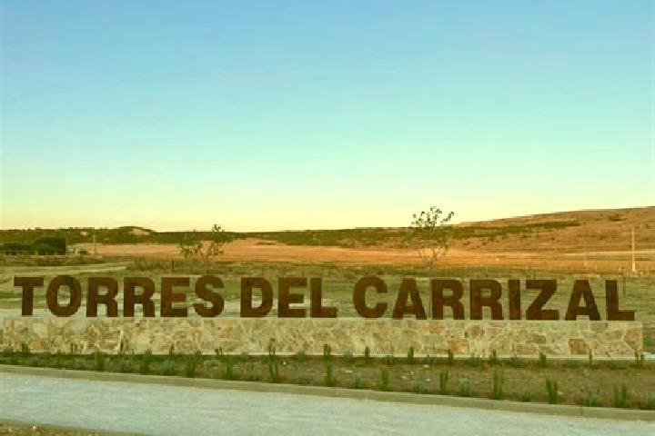 Grace, 39 — Escort in Torres del Carrizal, Spain