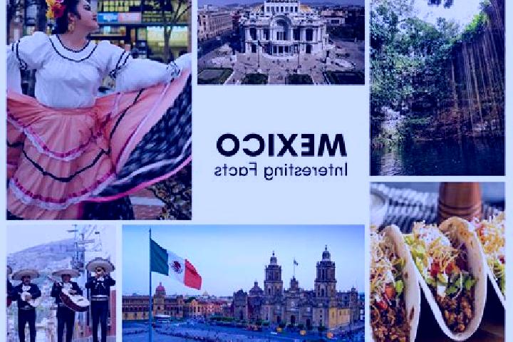 Grace, 39 — Escort in Zoquite, Mexico