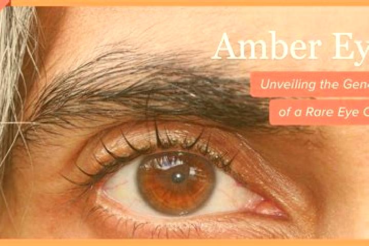 Hannah, 21, a red amber-eyed caribbean companion based in Sperry. Offering Domination, Dinner Date, Striptease, GFE, Travel Companion. Available for incall a...