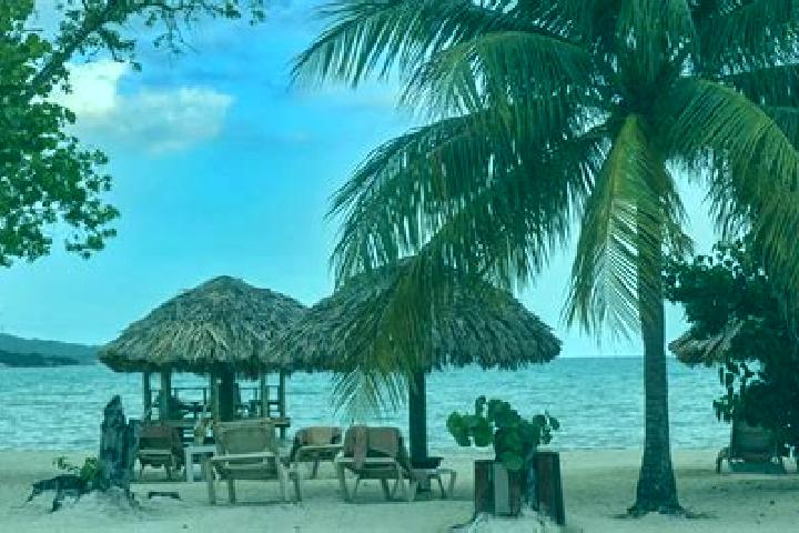 Hannah, 21 — Escort in Pueblo Viejo, Belize