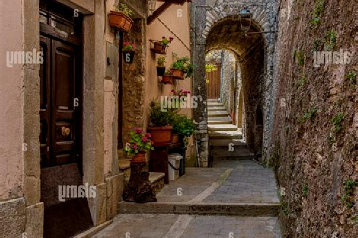 Hannah, 22 — Escort in Percile, Italy