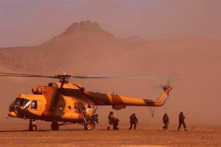Hannah, 22 — Escort in Shindand, Afghanistan