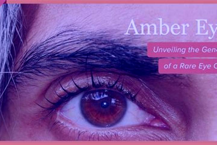 Hannah, 23, a red amber-eyed slavic companion based in Dungloe. Offering A-Level, OWO, 69, Dinner Date, GFE. Available for incall and outcall, overnight book...