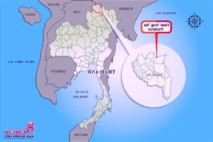 Hannah, 23 — Escort in Mae Fa Luang, Thailand