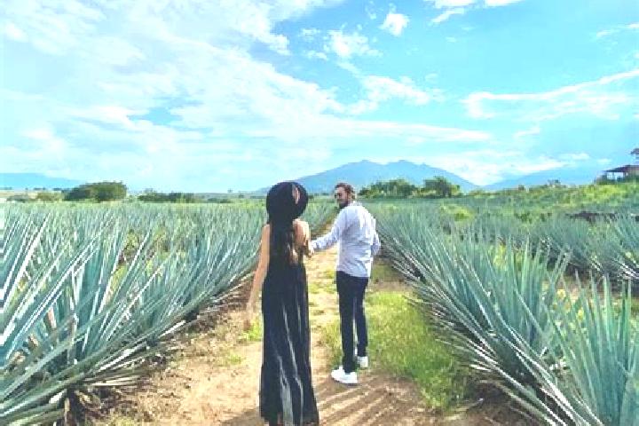 Hannah, 23 — Escort in Panuaya, Mexico