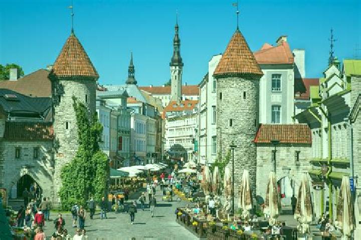 Hannah, 24 — Escort in Tallinn, Estonia