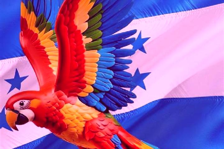 Hannah, 24 — Escort in Tikiraya, Honduras
