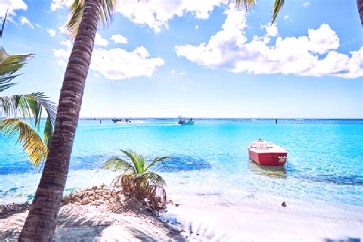 Hannah, 25, a auburn grey-eyed caribbean companion based in Santo Domingo Tonahuixtla. Offering BDSM, Tantra, A-Level, OWO. Available for incall and outcall,...