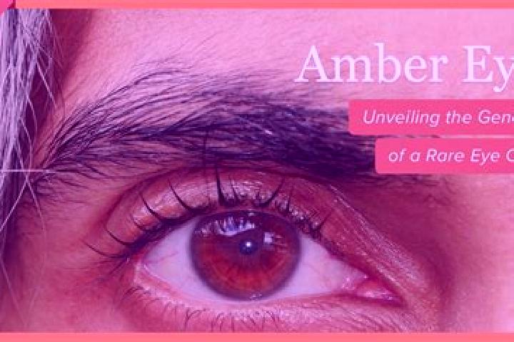 Hannah, 25, a dark blonde amber-eyed indian companion based in Buedu. Offering Overnight, Dinner Date, BDSM. Available for incall and outcall, day and evenin...