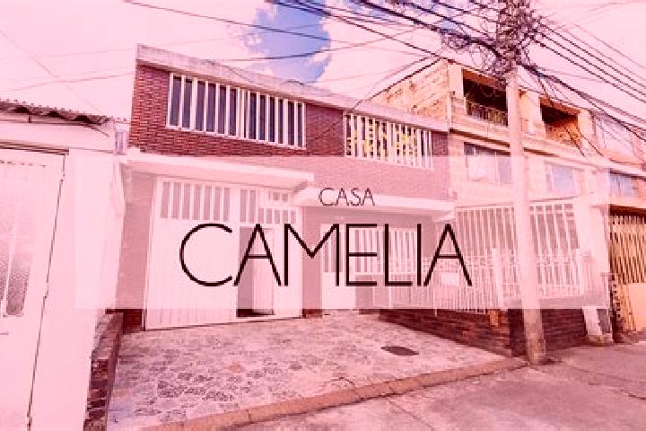 Hannah, 26 — Escort in Camelia (Barrio la Camelia), Mexico