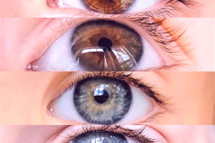 Hannah, 27, a chestnut grey-eyed mixed companion based in Santa Victoria. Offering Fetish, Erotic Massage, CIM, OWO. Available for incall and outcall, day an...