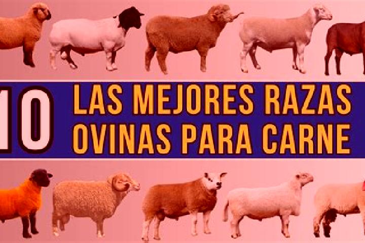 Hannah, 27 — Escort in Las Ovejas, Argentina