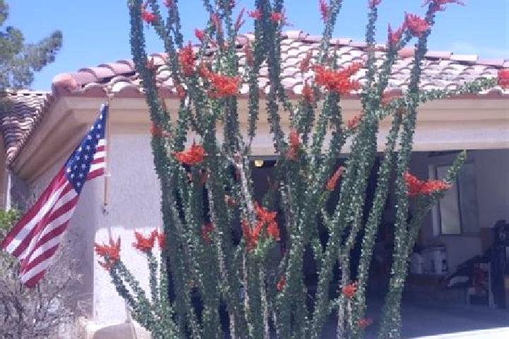 Hannah, 27 — Escort in Ocotillo, Mexico