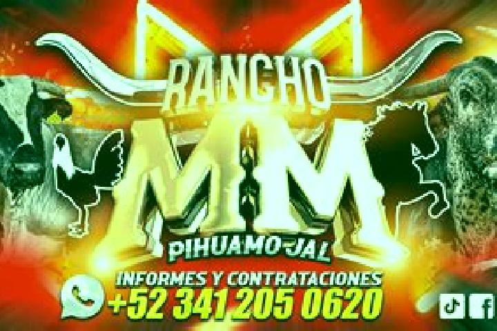 Hannah, 27 — Escort in Pihuamo, Mexico