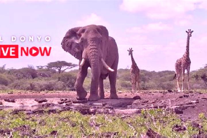 Hannah, 28 — Escort in Ol Donyo, Kenya