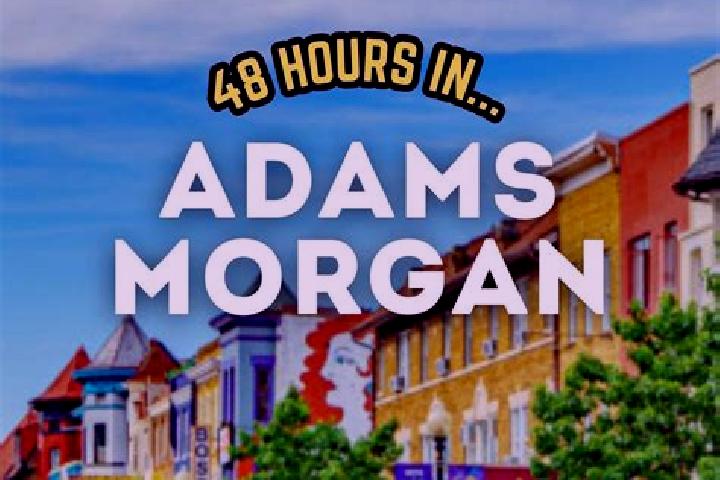 Hannah, 29 — Escort in Adams Morgan, United States