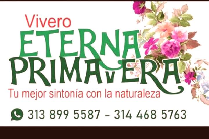 Hannah, 29 — Escort in Eterna Primavera, Mexico