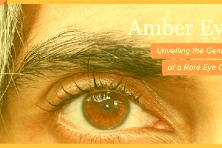 Hannah, 30, a red amber-eyed indian companion based in Terrasini. Offering 69, Massage, Girlfriend Experience, Striptease. Available for incall and outcall, ...