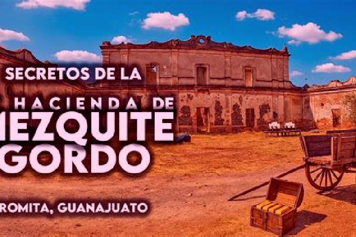 Hannah, 30 — Escort in Mezquite Gordo, Mexico