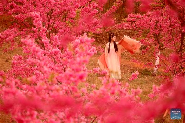 Hannah, 30 — Escort in Quchi, China