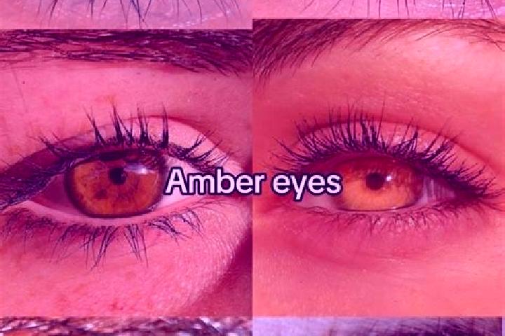 Hannah, 31, a brunette amber-eyed caucasian companion based in Artemare. Offering GFE, Duos, Striptease. Available for incall and outcall, day and evening da...