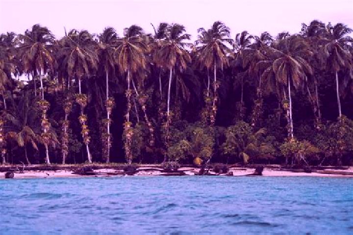 Hannah, 32 — Escort in Bocas, Mexico